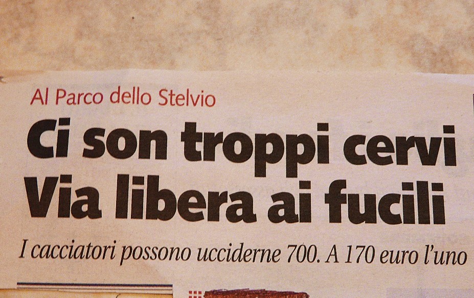 Ci son troppi cervi.........